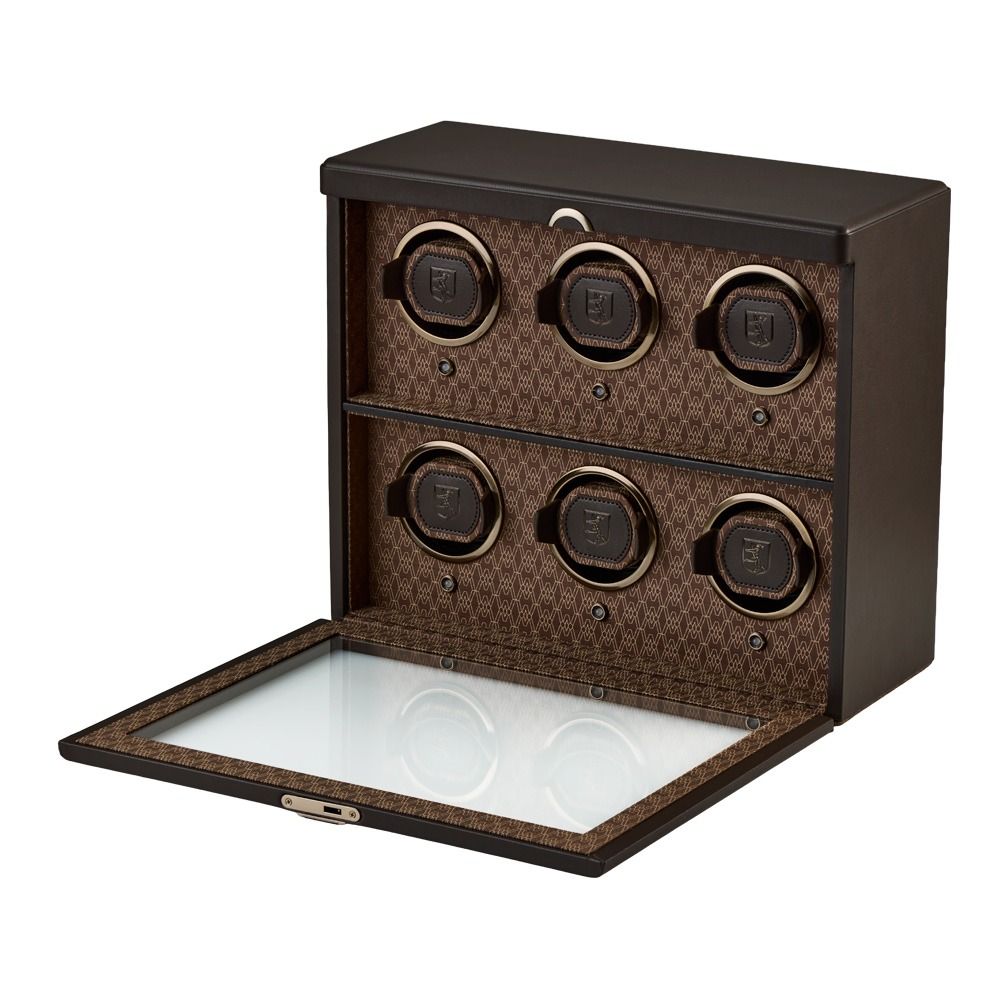 Earth 6 Piece Watch Winder